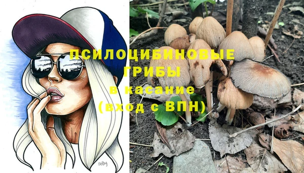 гидропоника Корсаков