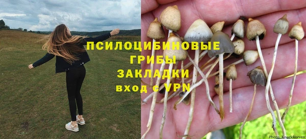стафф Абаза