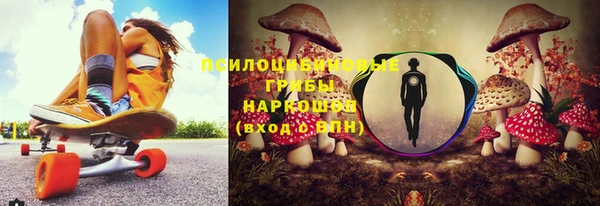 стафф Абаза