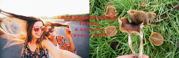 стафф Абаза